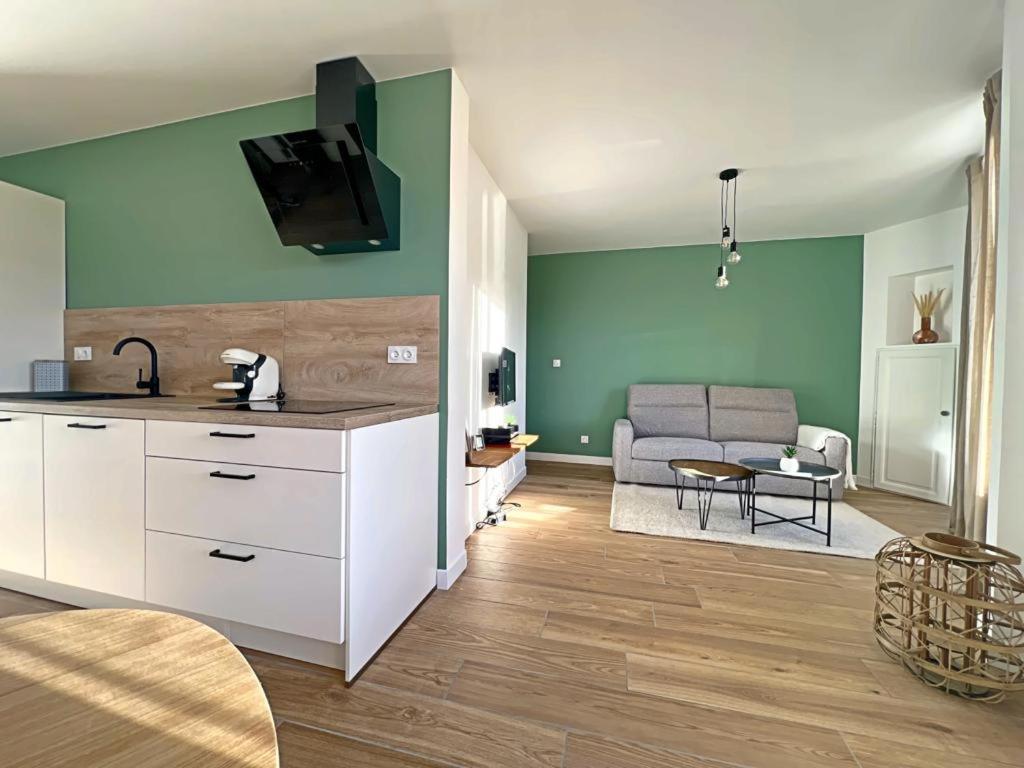 Appartement Coup De Coeur. St Etienne-Rochetaillee Vila Velha Exterior foto